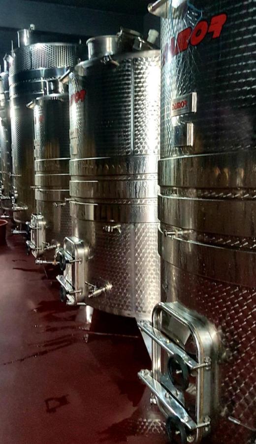Wine Hotel Cesarica Međugorje Екстериор снимка